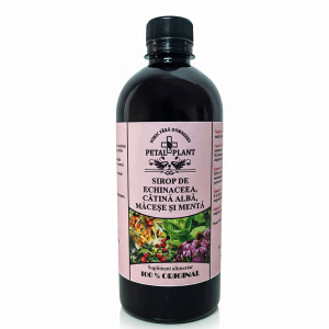 Sirup z echinacea, rakytníku, šípky a máty