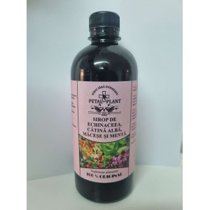 Sirup z echinacea, rakytníku, šípky a máty