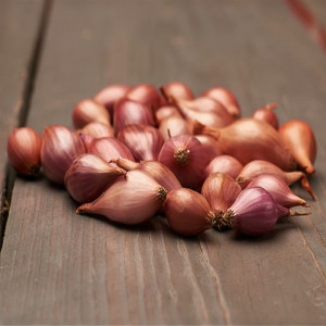 Cibule červená Rosanna
