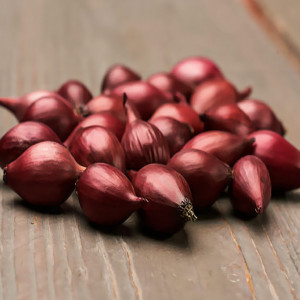 Cibule červená Red Karmen