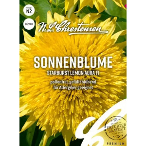 Dekorativní slunečnice Starburst Lemon Aura F1