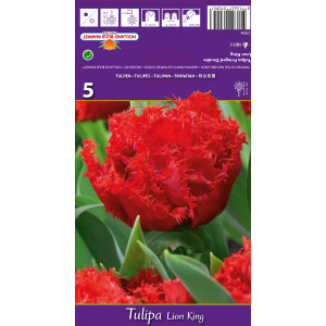 Tulipány zacuchaný Lion King