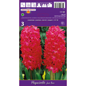 Hyacint Jan Bos