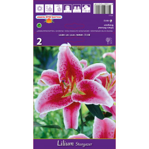 Orientální lilie Stargazer