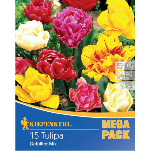 Mega Pack Tulipány vícebarevná směs
