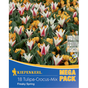 Mega Pack Krokus Freaky Spring vícebarevná směs