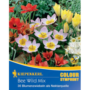 Květinové cibulky Bee Wild