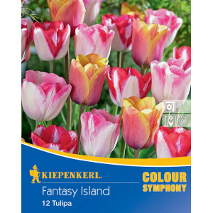 Květinové cibulky Fantasy Island