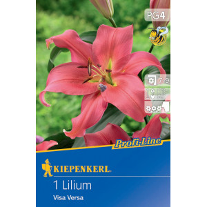 Lilie Visa Versa