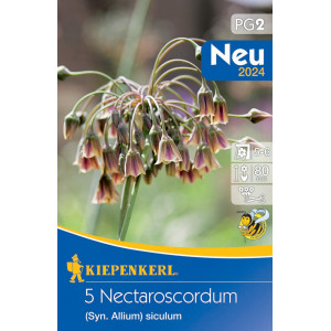 Ozdobná cibulka Nectaroscordum