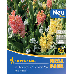 Mega Pack Hyacint Pure Pastel vícebarevná směs