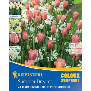 Květinové cibulky Summer Dreams