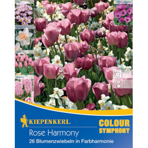 Květinové cibulky Rose Harmony