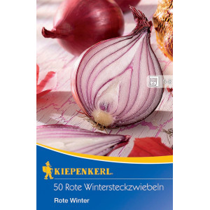 Cibule červená zimní Rote Winter
