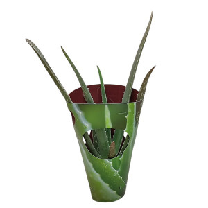 Aloe vera v květináči ø 10,5 cm