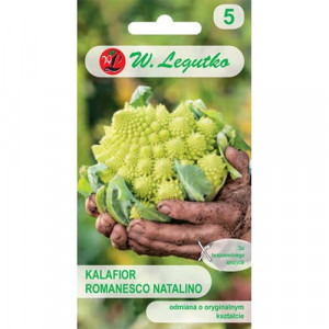 Květák Romanesco