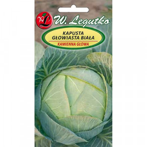 Zelí Kamínna Glowa 2