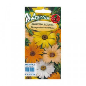 Margaretă africană Summertime Mix