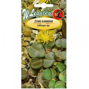 Lithops (Živé kameny), mix barev