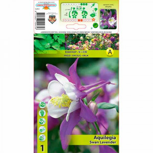 Orlíček (Aquilegia) Swan Lavender