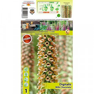 Náprstník (Digitalis) Milk Chocolate