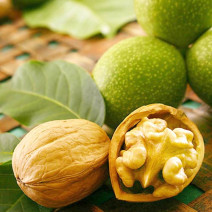 Ořech s tenkou skořepinou