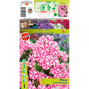 Floxy Pink Windmil