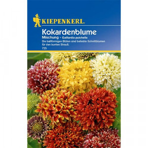 Gaillardia, mix vícebarevný