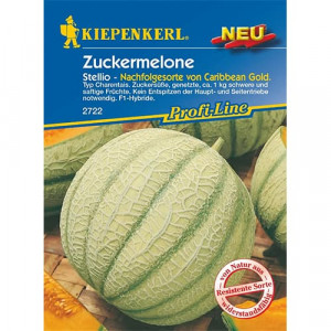 Meloun Stellio F1