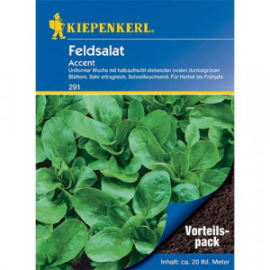 Polní salát (Valeriánka) Accent