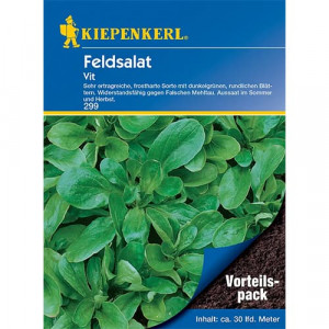 Polní salát (Valeriánka) Vit