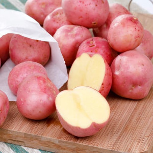 Bellarosa sadbové brambory