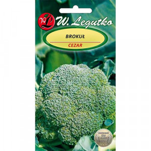 Brokolice Cezar