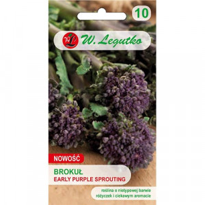 Brokolice Early Purple
