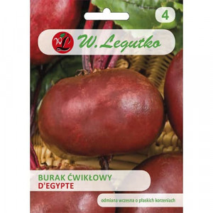 Červená řepa D'Egypte