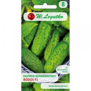 Okurka cornichon Rhodos F1