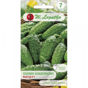 Okurka cornichon Rufus F1