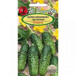 Okurka cornichon Tytus F1