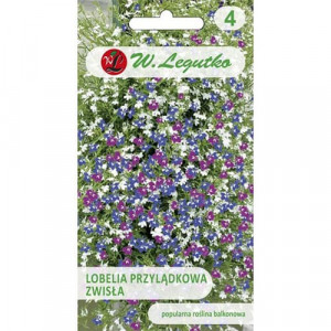 Lobelia táhla do květináče, mix barev