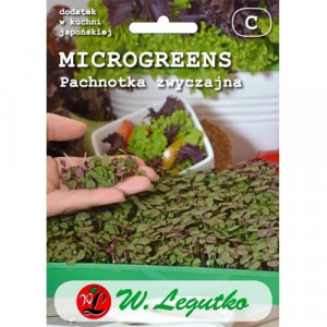 Mikro rostliny - Shiso (Perilla)