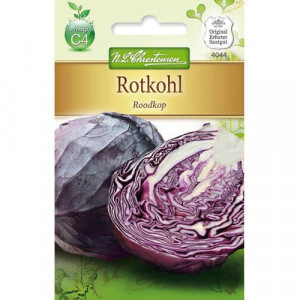 Červené zelí Roodkop