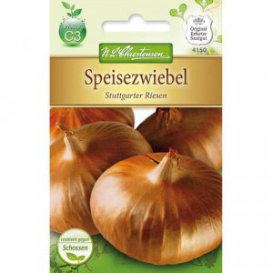 Cibule Stuttgarter Riesen