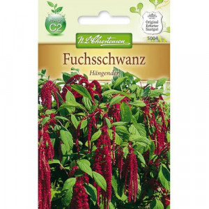 Laskavec ocasní (Amaranthus)