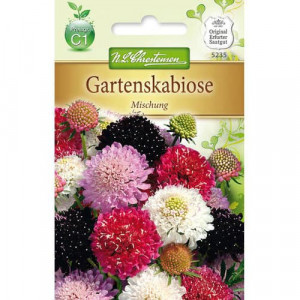 Scabiosa, mix vícebarevný