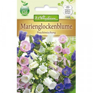 Zvonec (Campanula), mix vícebarevný