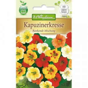 Kapucínka větší, barevná směs