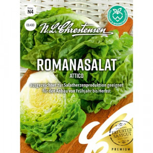 Římský salát Attico