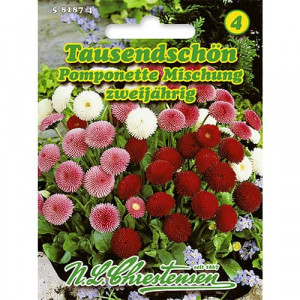Sedmikráska Pomponette, mix vícebarevný