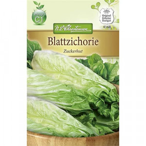 Bílá čekanka (radicchio) Zuckerhut
