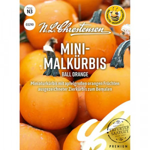 Okrasná dýně malá Ball Orange